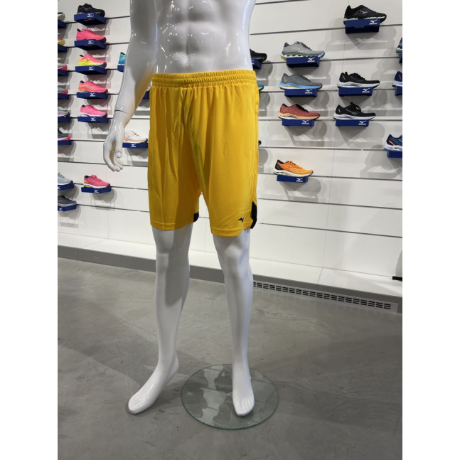 Premium Handball Short M 