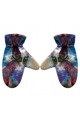 Gloves Owl Sky