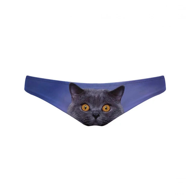 Regular Bikini Bottom British Cat