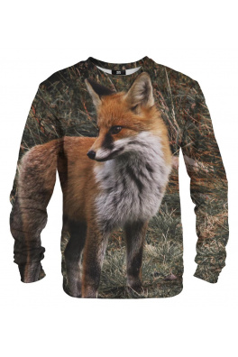 Sweater Fox