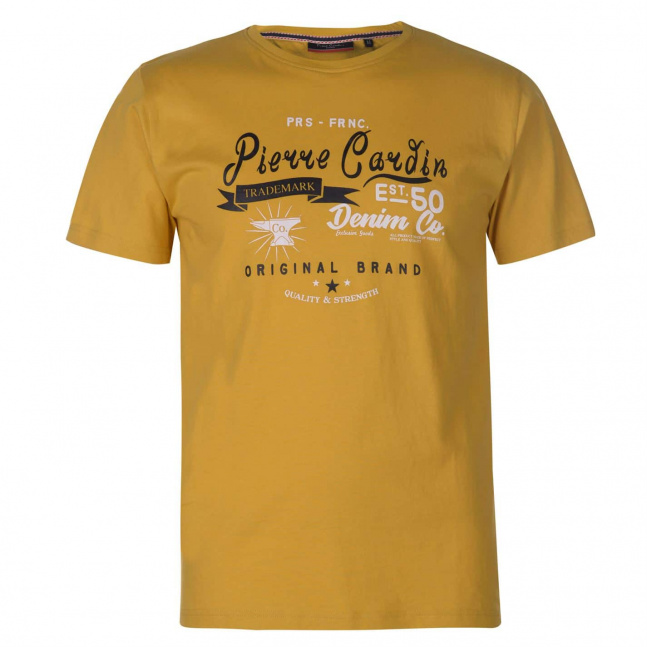 Pánské tričko Pierre Cardin Essential s potiskem