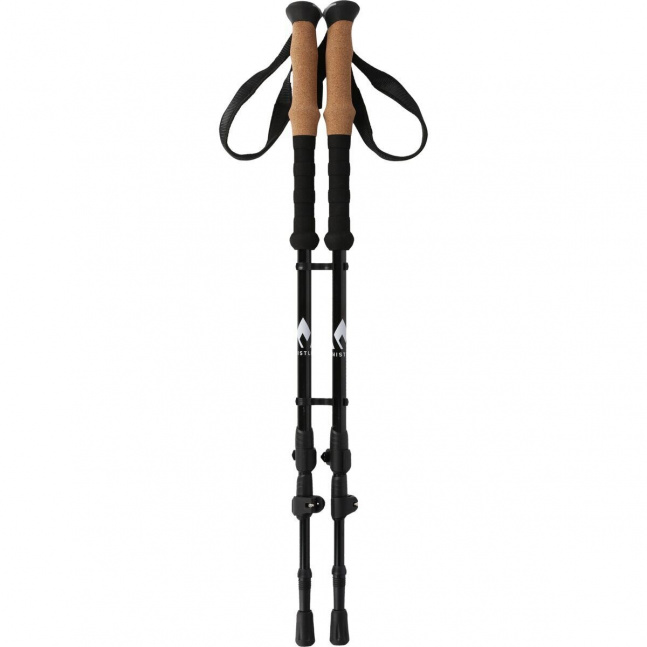 Trekové hole Whistler Delmarva Trekking Poles