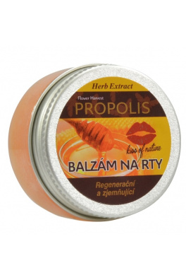 VIVACO Ochranný balzám na rty Propolis HERB EXTRACT 25 g