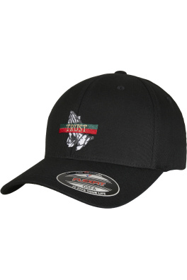 C&S WL Rich Trust Flexfit Cap černá/mc
