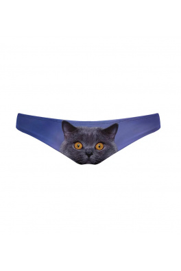 Regular Bikini Bottom British Cat