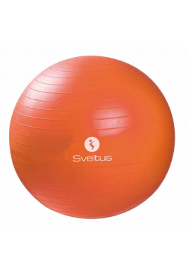 Gymball Sveltus