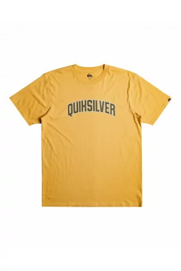 Pánské tričko Quiksilver Scholarship