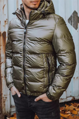 Pánská zimní bunda s kapucí Dstreet TX3954