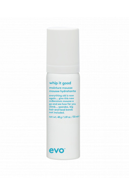 EVO Whip It Good Moisture Mousse 50ml