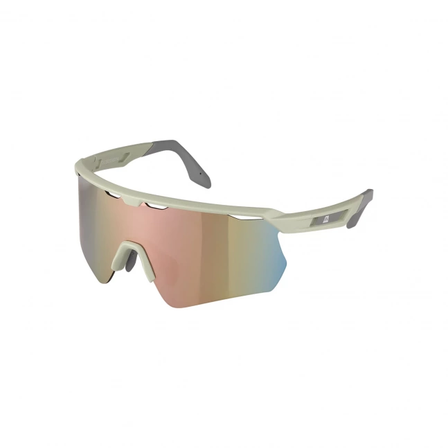Unisex sluneční brýle ALPINE PRO DETENE 