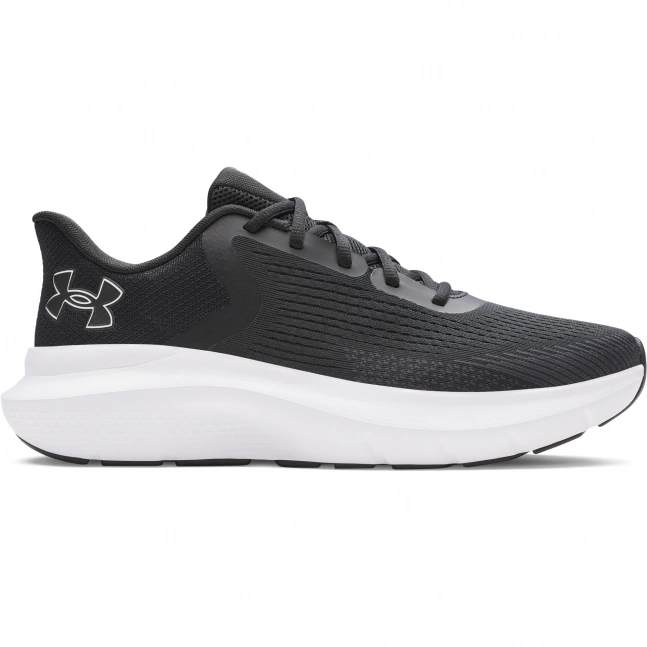Pánská obuv Under Armour Charged Rogue 5